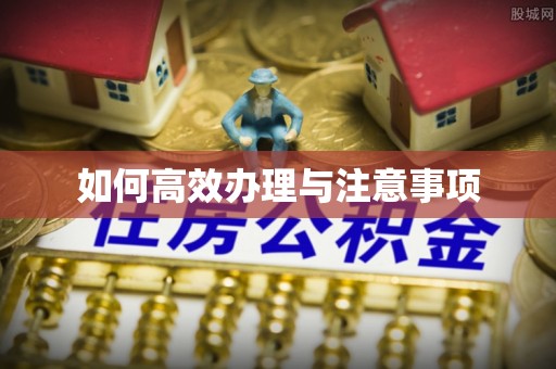 木垒如何高效办理与注意事项