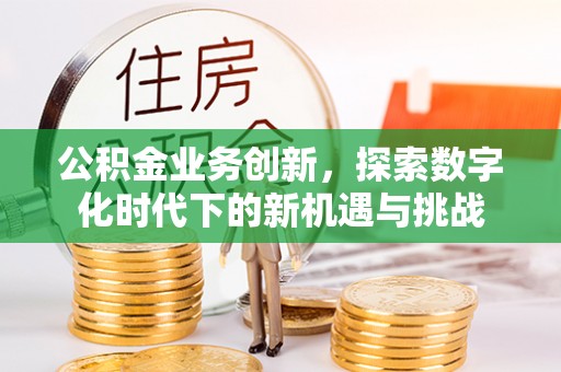 木垒公积金业务创新，探索数字化时代下的新机遇与挑战