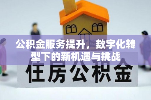木垒公积金服务提升，数字化转型下的新机遇与挑战