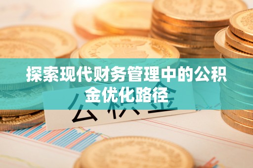 木垒探索现代财务管理中的公积金优化路径