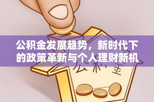 木垒公积金发展趋势，新时代下的政策革新与个人理财新机遇