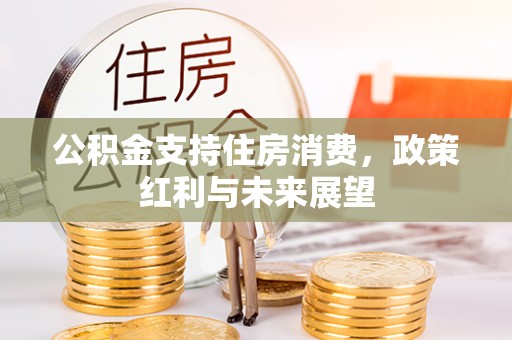 木垒公积金支持住房消费，政策红利与未来展望