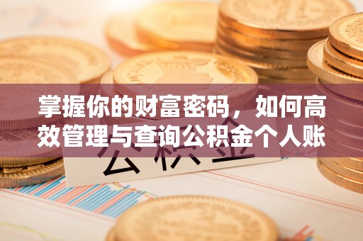 木垒掌握你的财富密码，如何高效管理与查询公积金个人账户信息