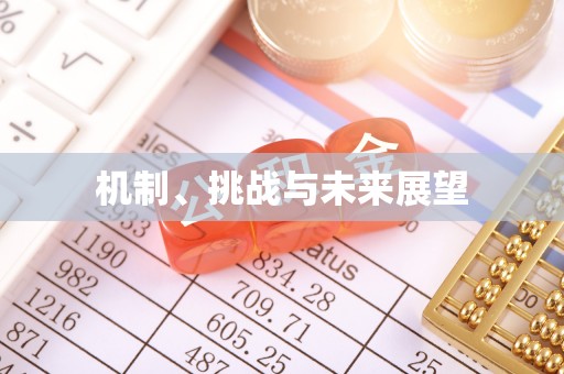 木垒机制、挑战与未来展望