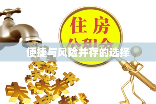 木垒便捷与风险并存的选择