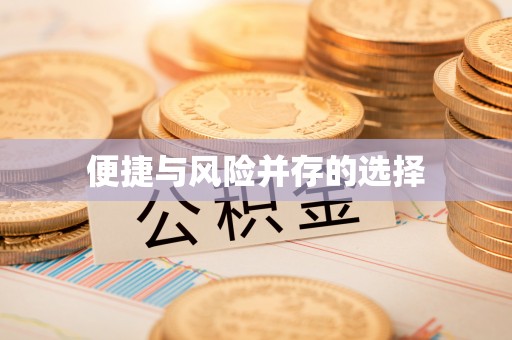 木垒便捷与风险并存的选择