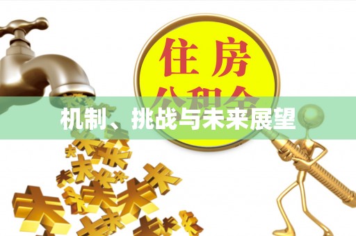 木垒机制、挑战与未来展望